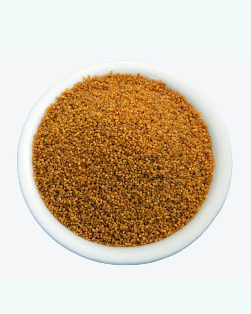 Foxtail Millet